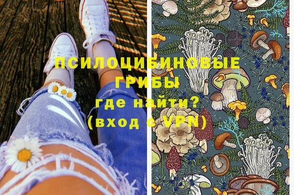 СК Алзамай