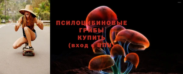 СК Алзамай