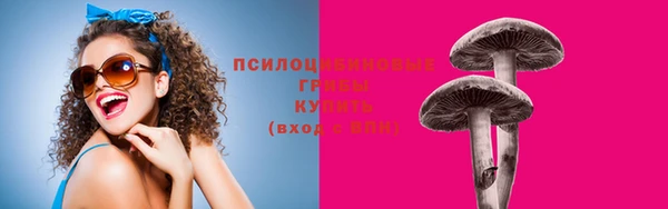 твердый Гусиноозёрск