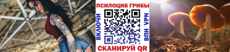Галлюциногенные грибы Psilocybine cubensis  Мензелинск 